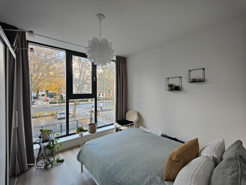 Photo 8 of Velperweg 24-18