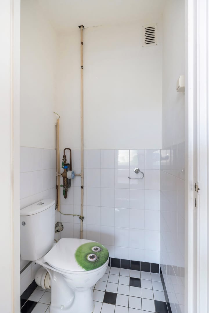 Foto 8 van Plotinusstraat 63