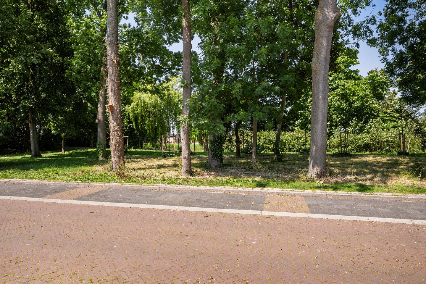 Foto 35 van Plantagestraat 17