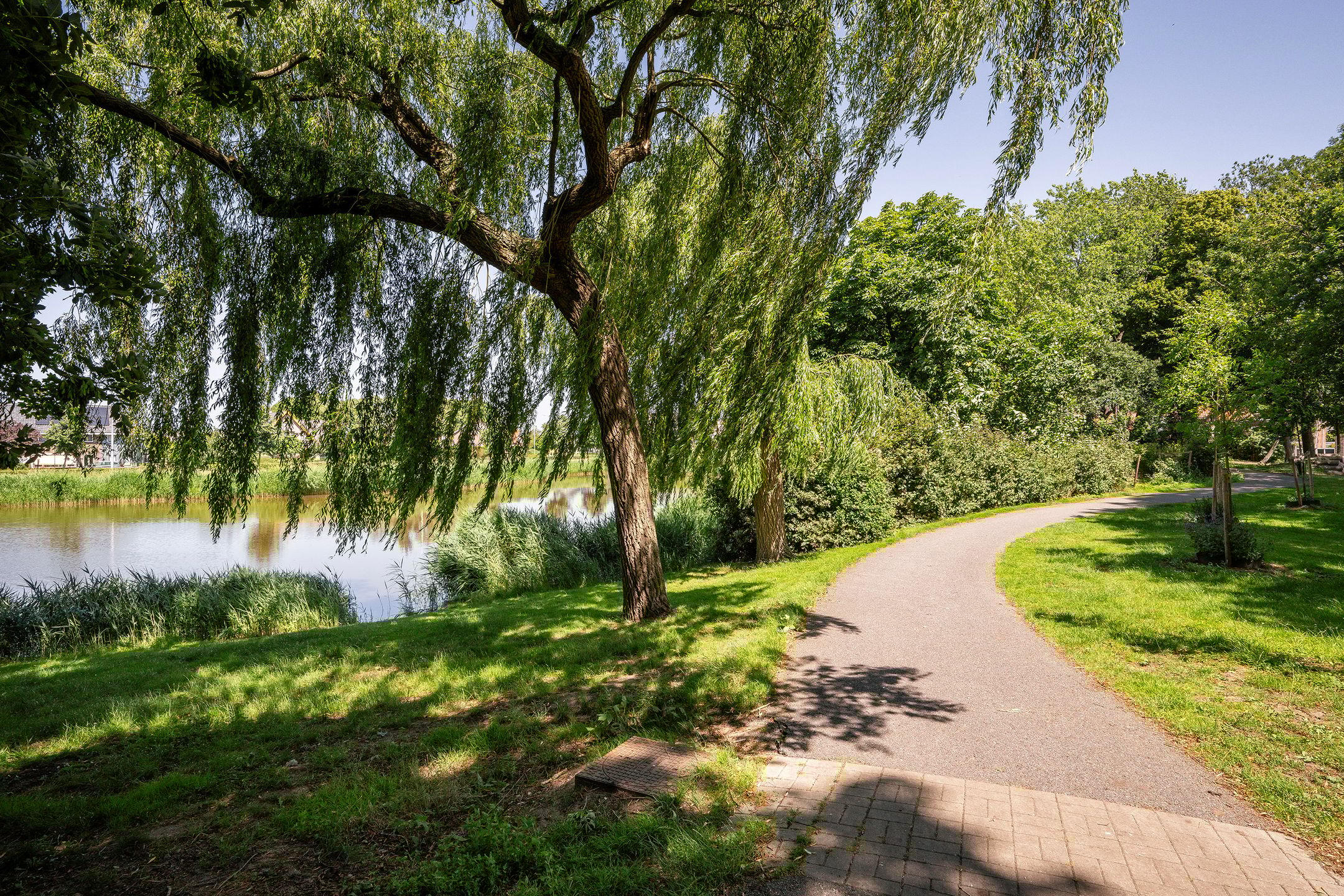 Foto 36 van Plantagestraat 17