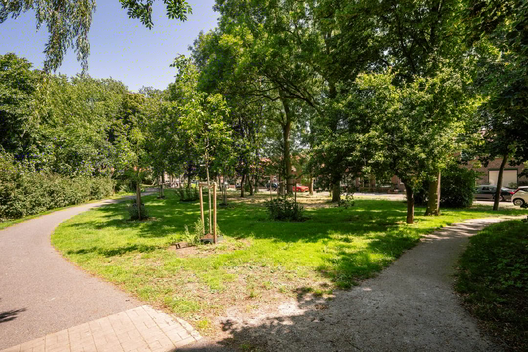 Foto 37 van Plantagestraat 17