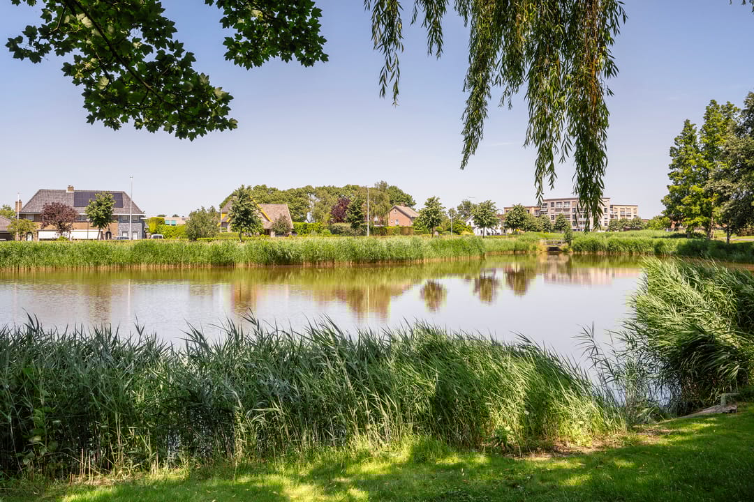 Foto 38 van Plantagestraat 17