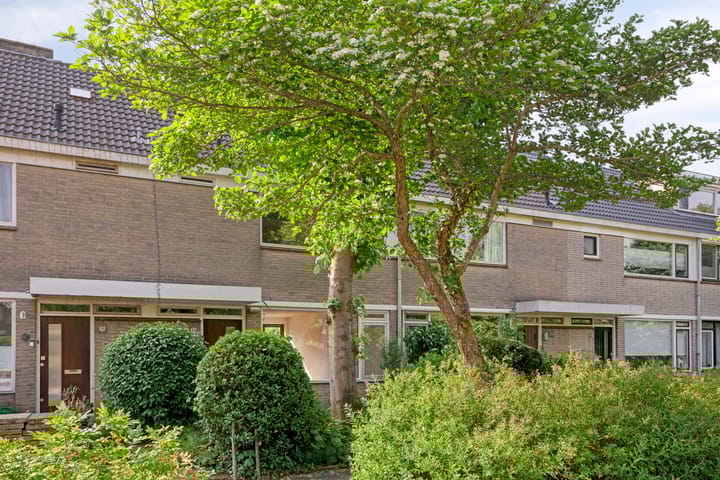 Foto 7 van Zwanenwater 13