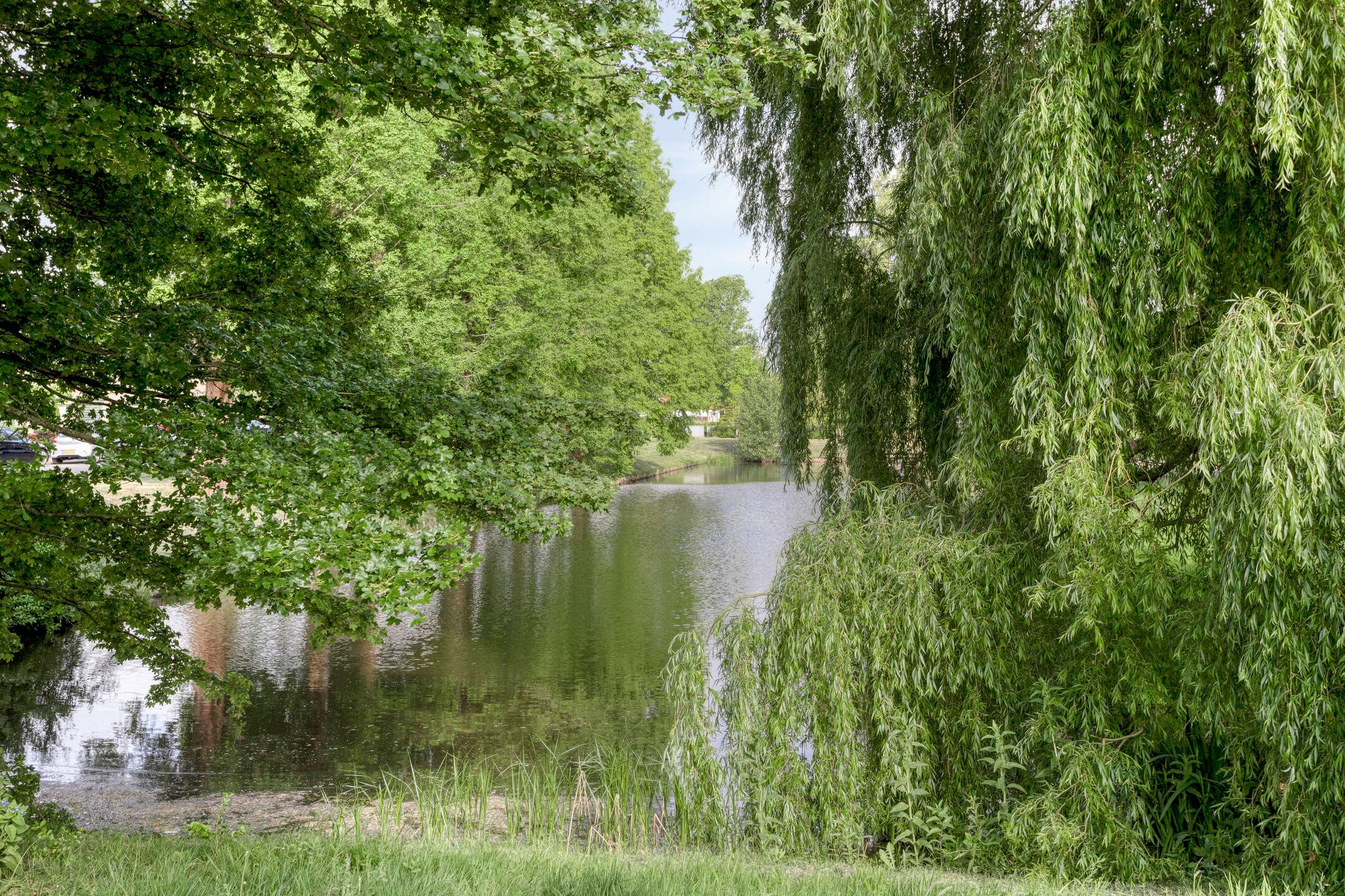 Foto 45 van Zwanenwater 13