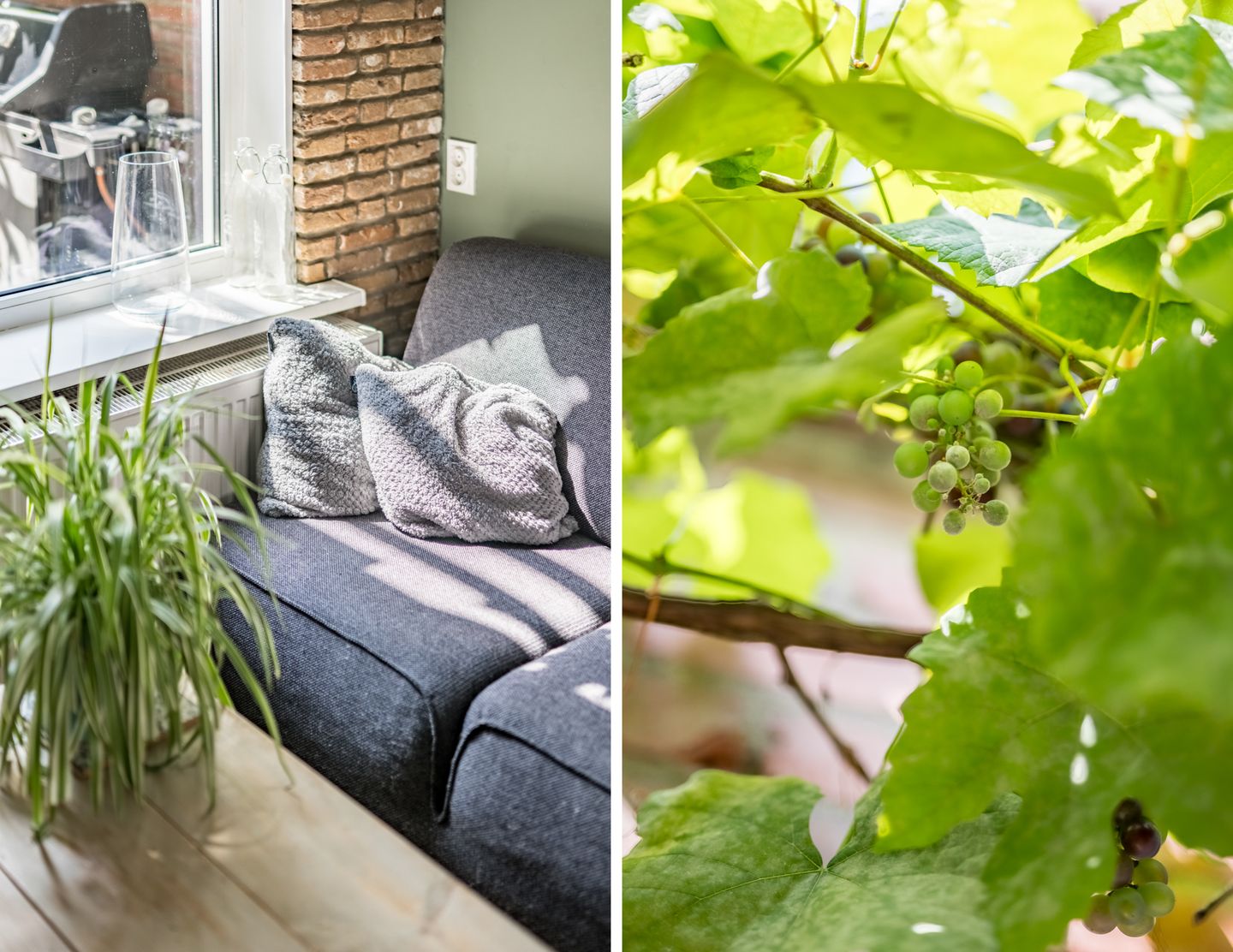 Foto 5 van Missionarisstraat 60