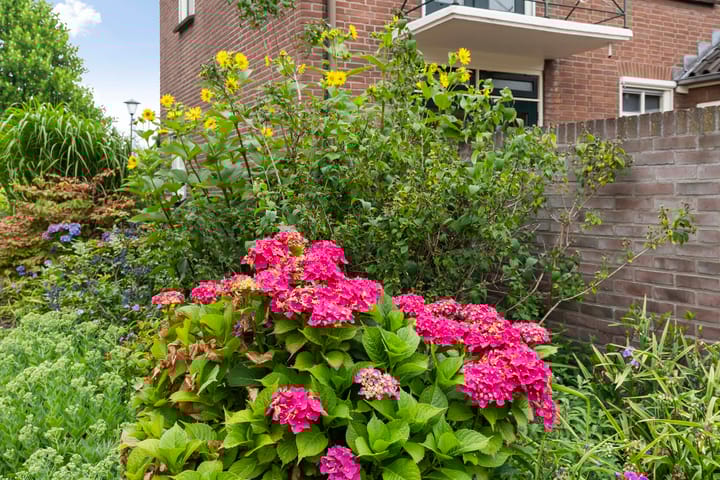 Foto 28 van Zutphenseweg 19