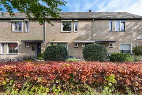 undefined main image