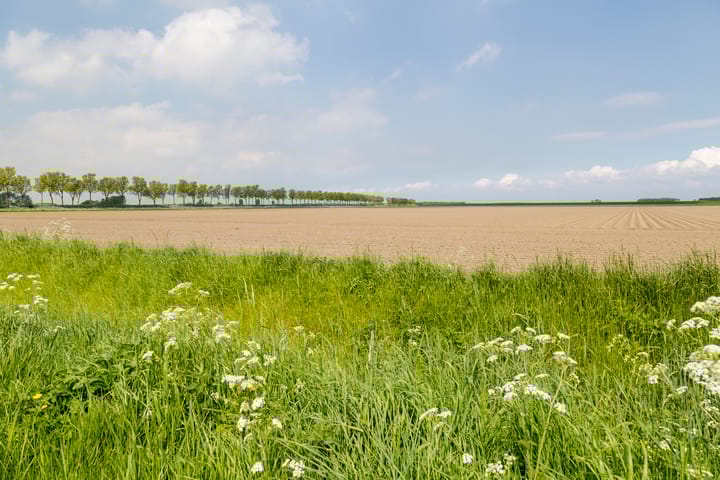 Foto 28 van Kaaidijk 3