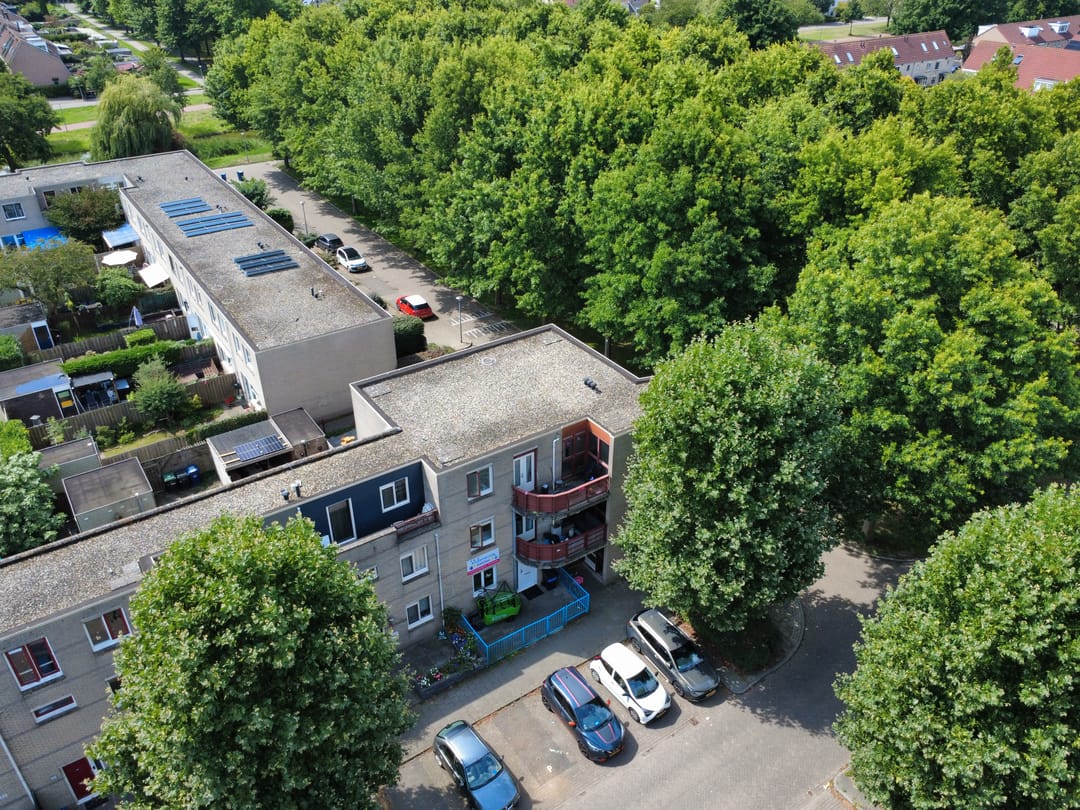 Photo 1 of Basilicumweg 257