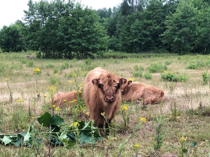 Foto 61 van Bijsterveldenlaan 403