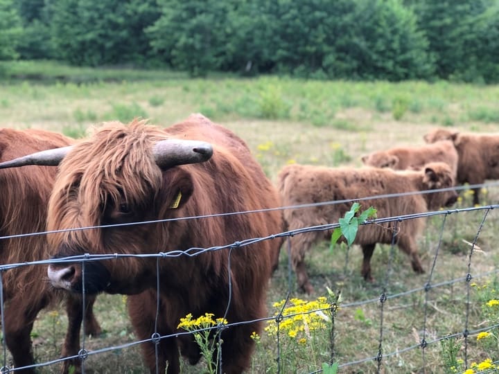 Foto 63 van Bijsterveldenlaan 403