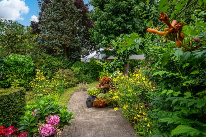 Foto 27 van Minervalaan 69