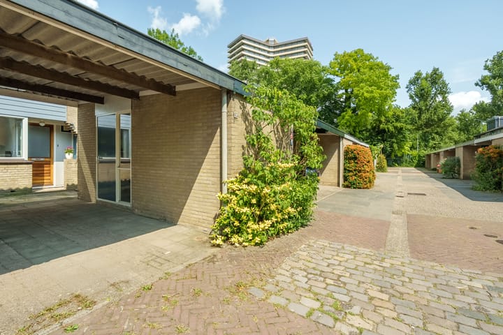 Foto 4 van Tarthorst 613