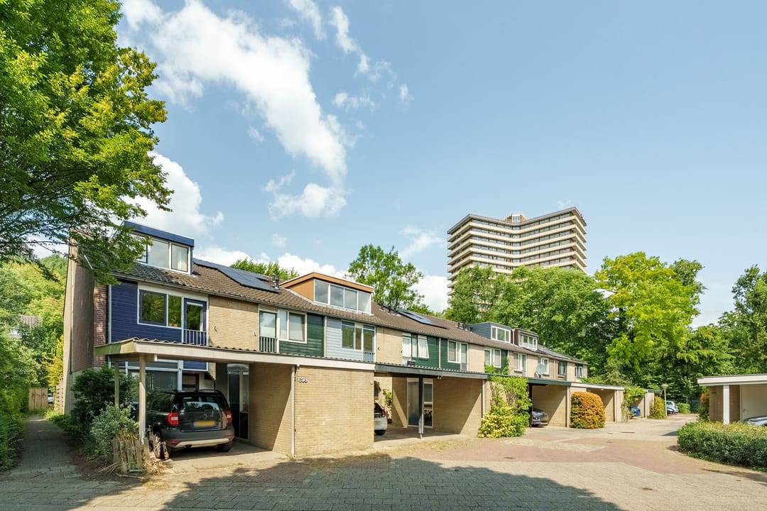 Foto 26 van Tarthorst 613