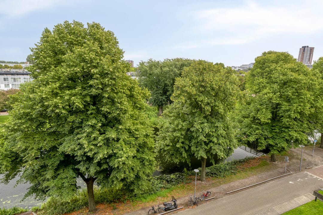 Foto 13 van Boezemkade 333