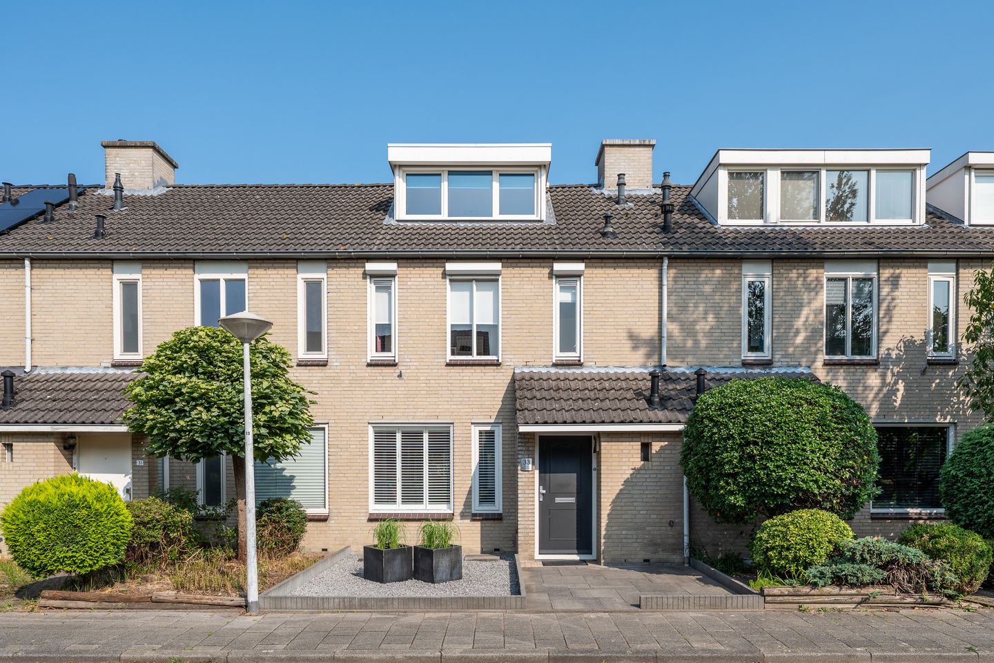 Foto 1 van Populier 33