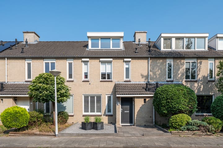 Foto 1 van Populier 33