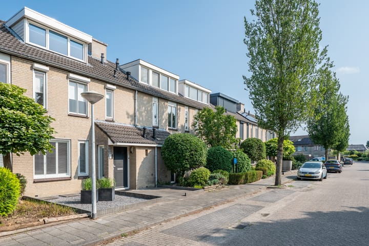 Foto 2 van Populier 33