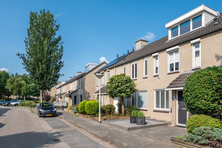 Foto 3 van Populier 33