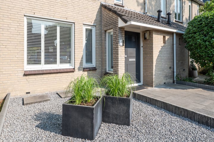 Foto 4 van Populier 33