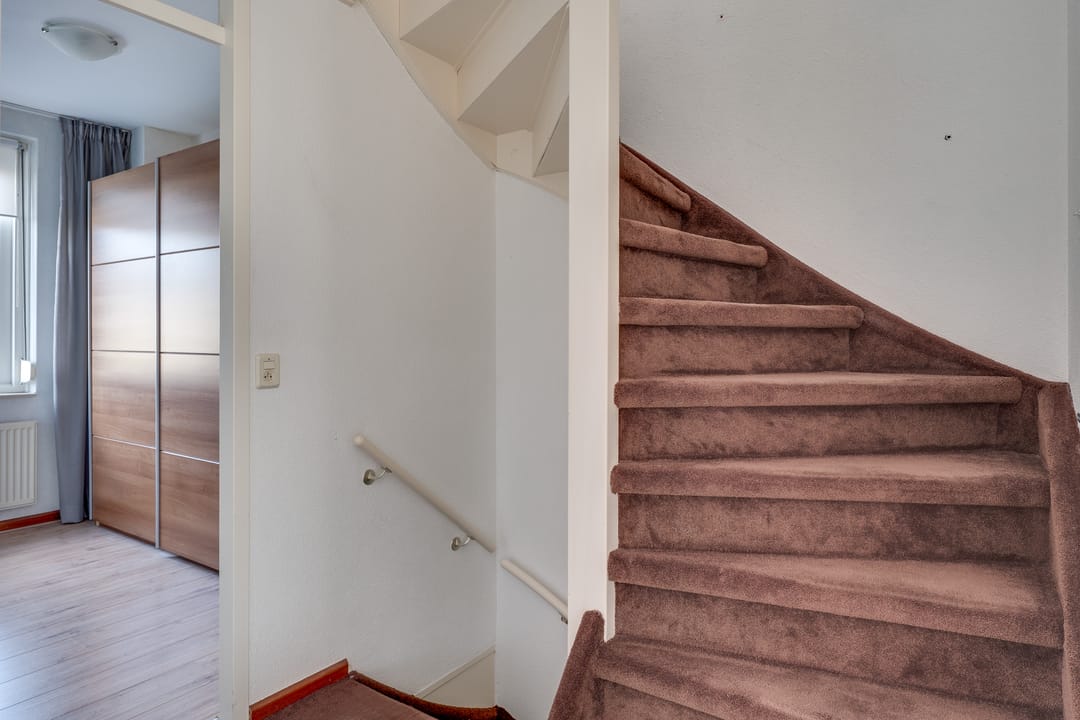 Foto 26 van Populier 33