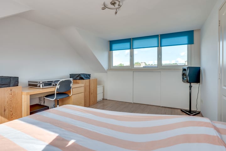 Foto 30 van Populier 33