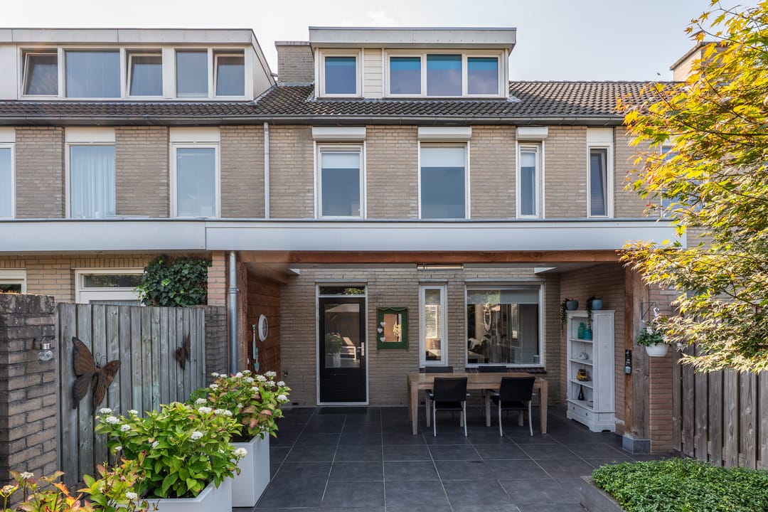 Foto 31 van Populier 33