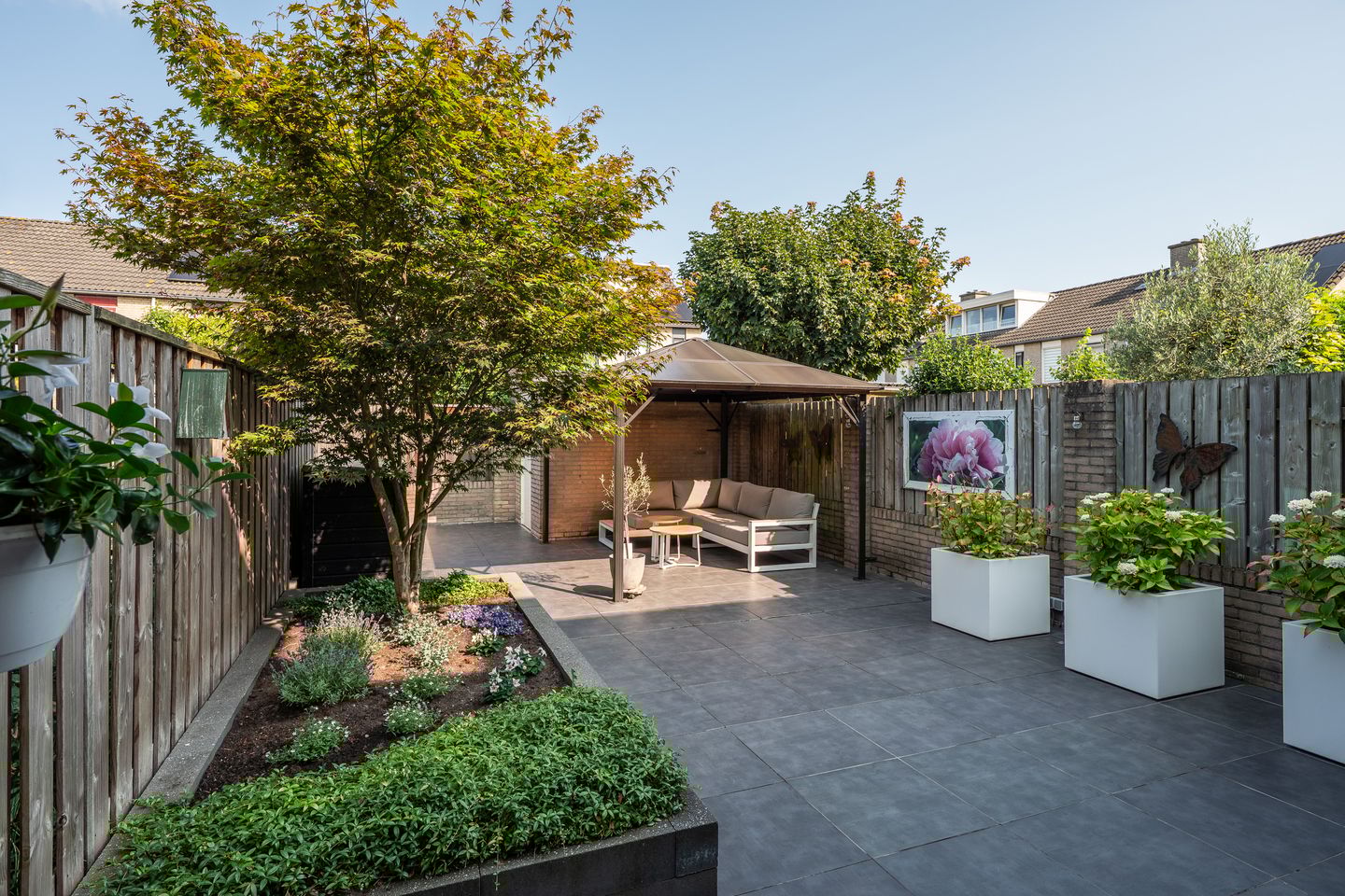 Foto 35 van Populier 33