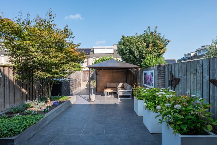 Foto 36 van Populier 33