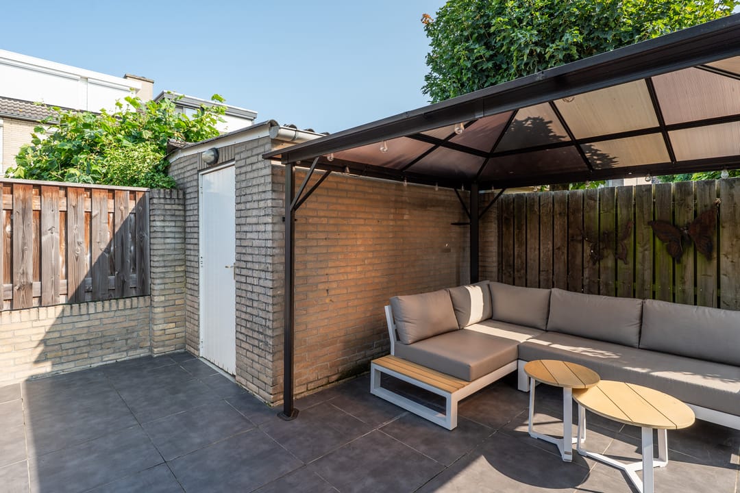 Foto 37 van Populier 33