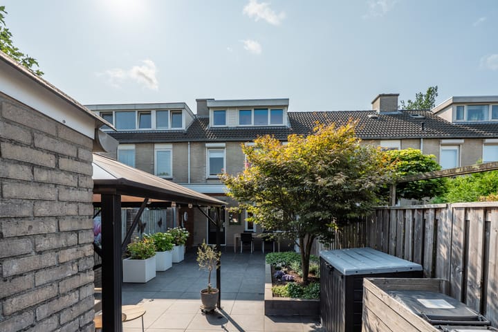 Foto 38 van Populier 33