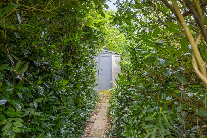 Photo 24 of Wispelweg 28