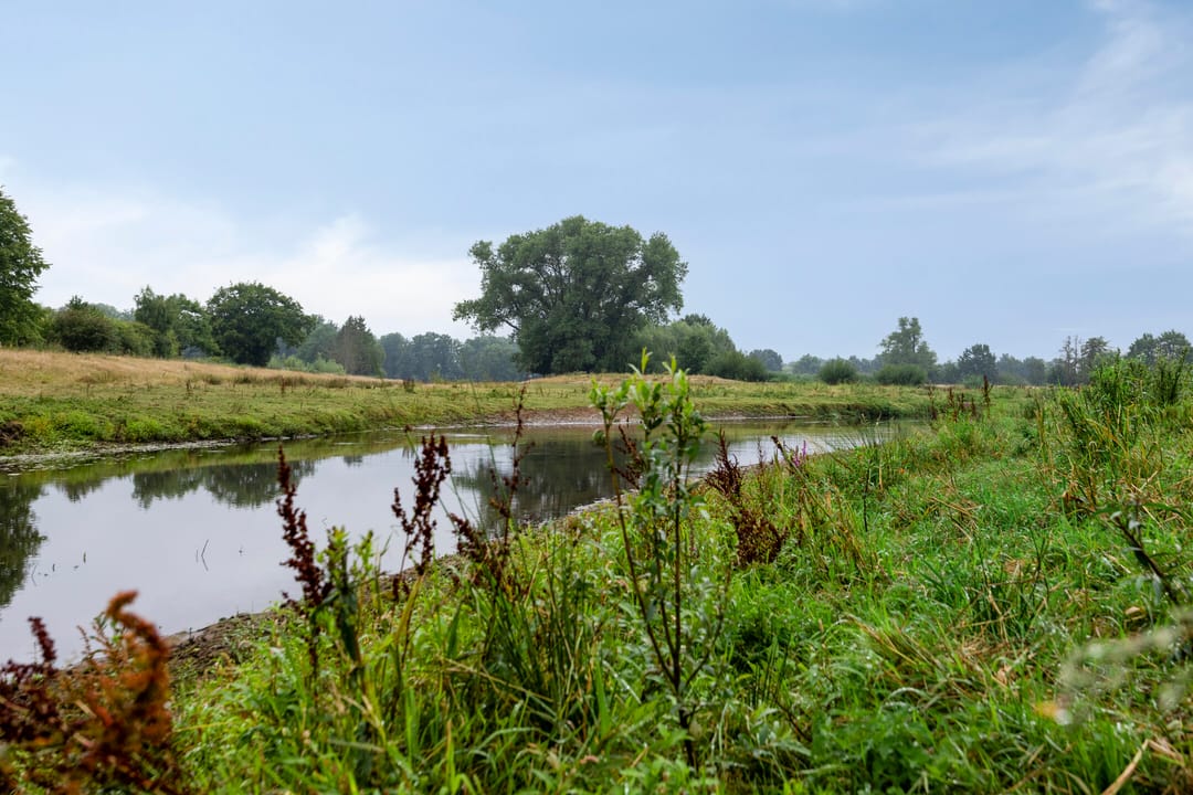 Photo 22 of 2e Vijverstraat 8