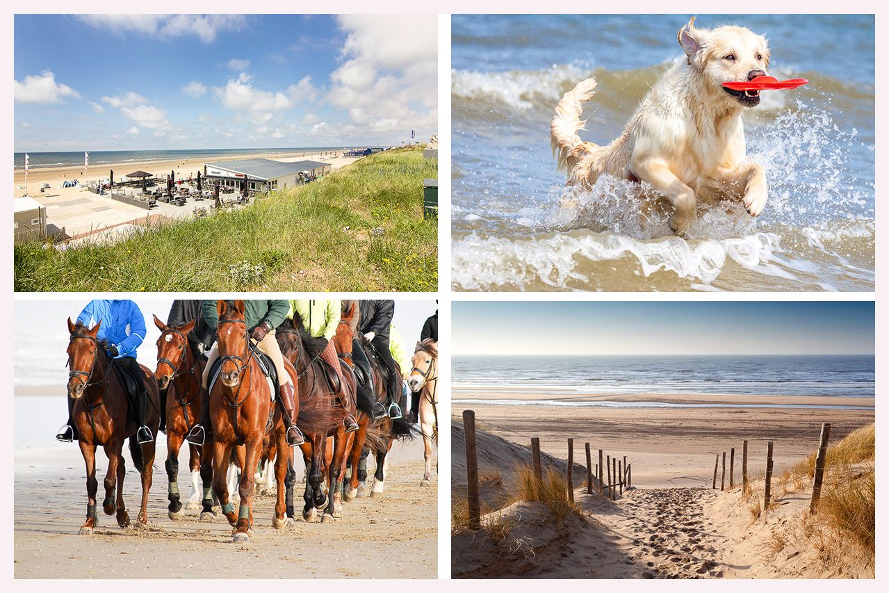 Foto 33 van Kruisstraat 2-A