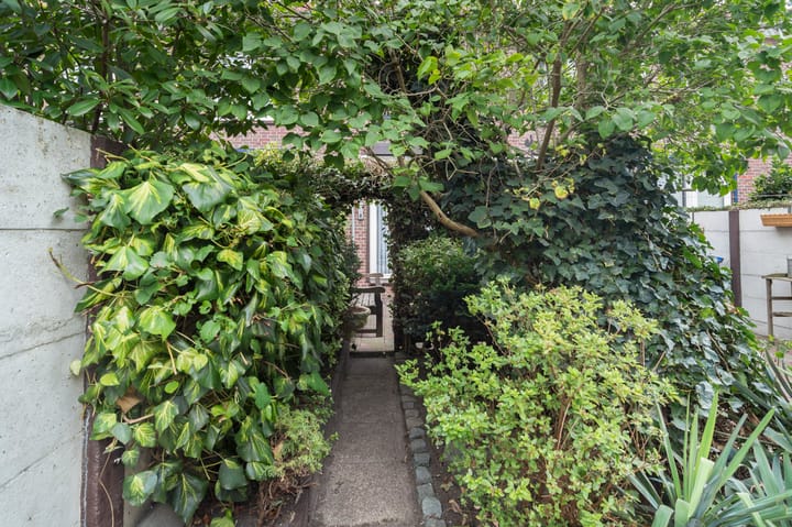 Foto 31 van Pieter Brueghelstraat 11