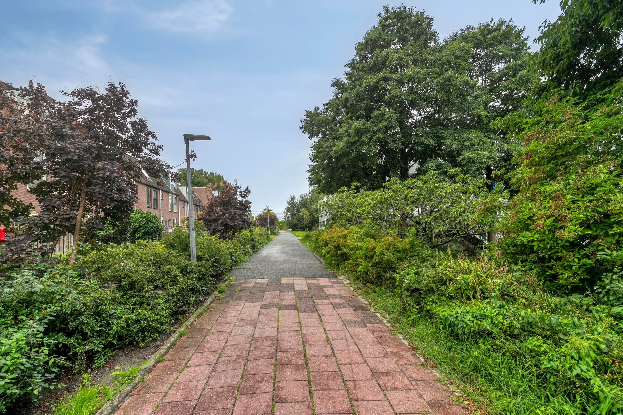 Foto 18 van De Stelling 12 24-A