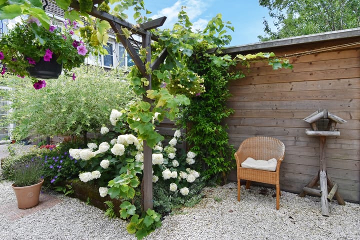 Foto 25 van Drechterland 30