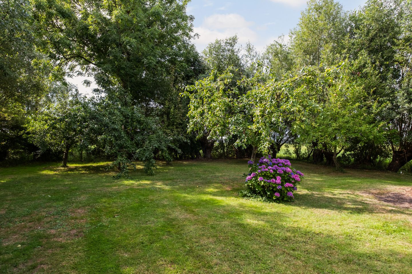 Photo 65 of Benedeneind ZZ 401-A