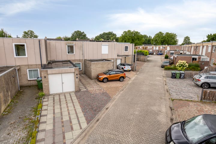 Foto 4 van Holenduif 27