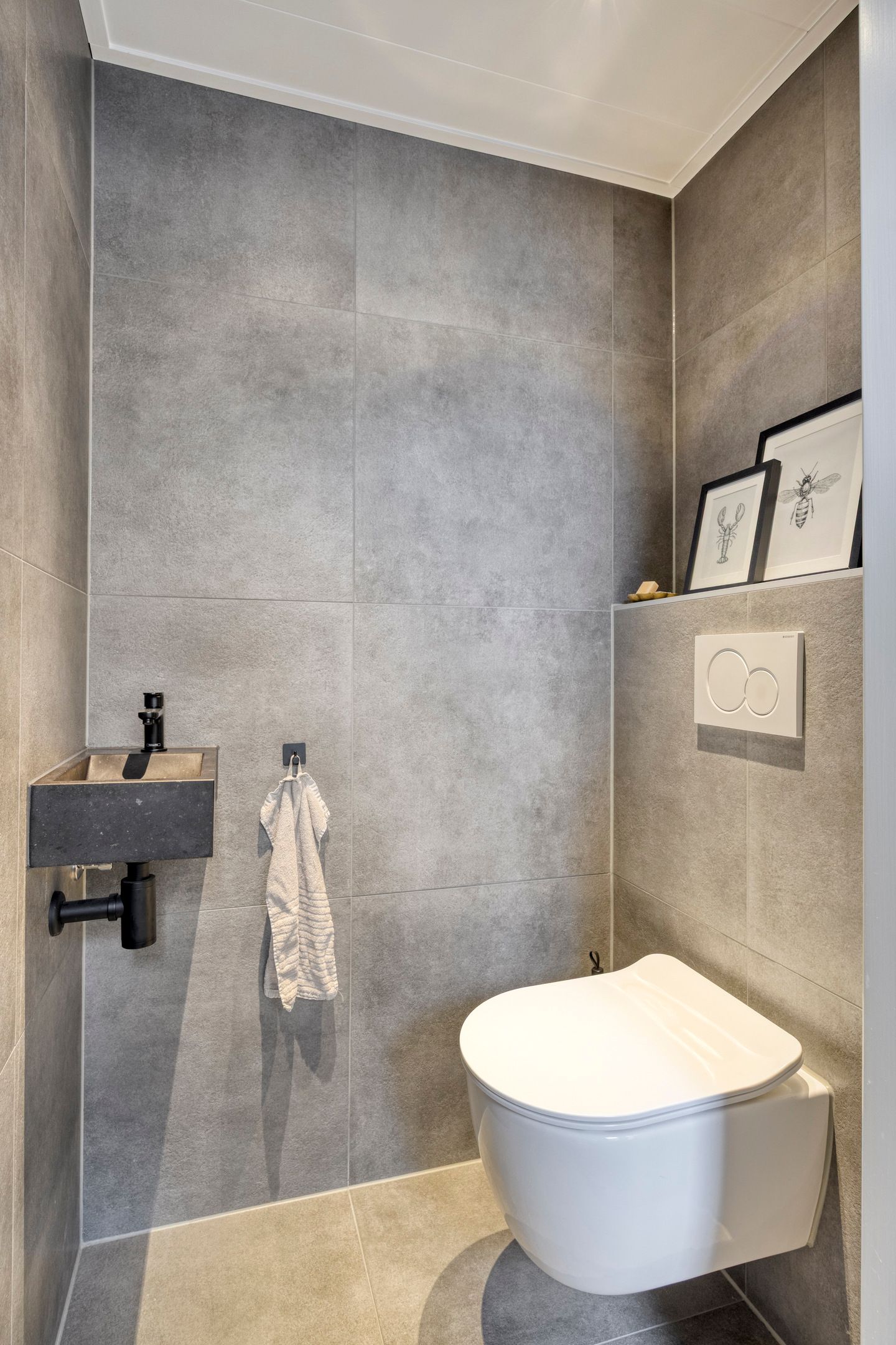 Foto 9 van Holenduif 27