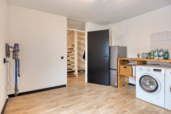 Foto 27 van Holenduif 27