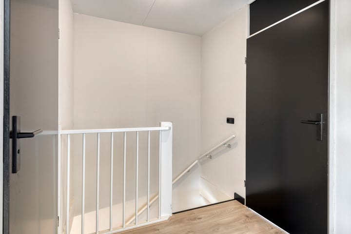 Foto 28 van Holenduif 27