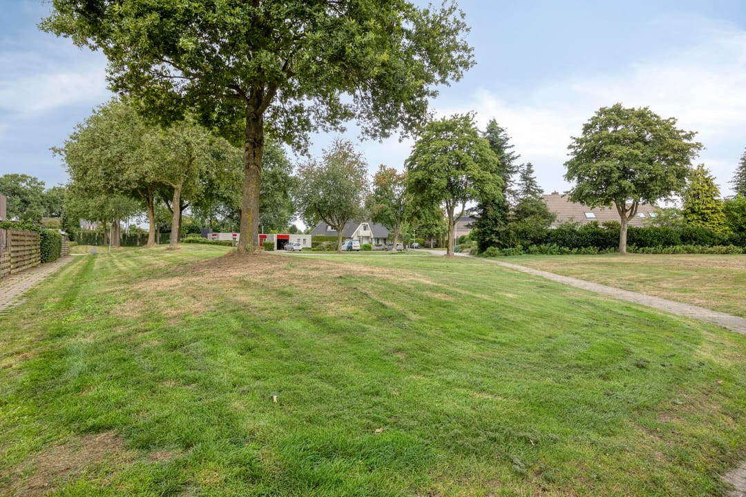 Foto 43 van Holenduif 27