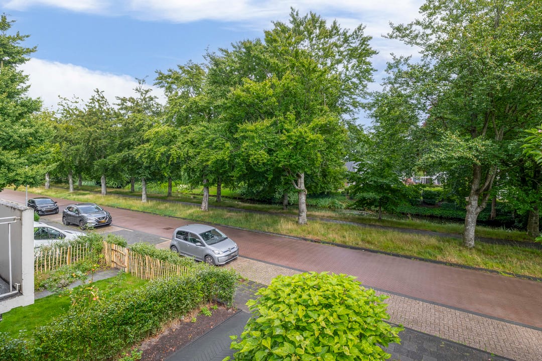 Foto 41 van De Hoge Bomen 34