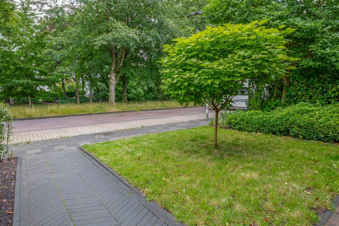 Foto 43 van De Hoge Bomen 34