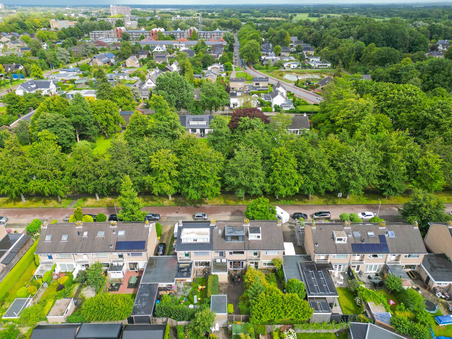 Foto 49 van De Hoge Bomen 34