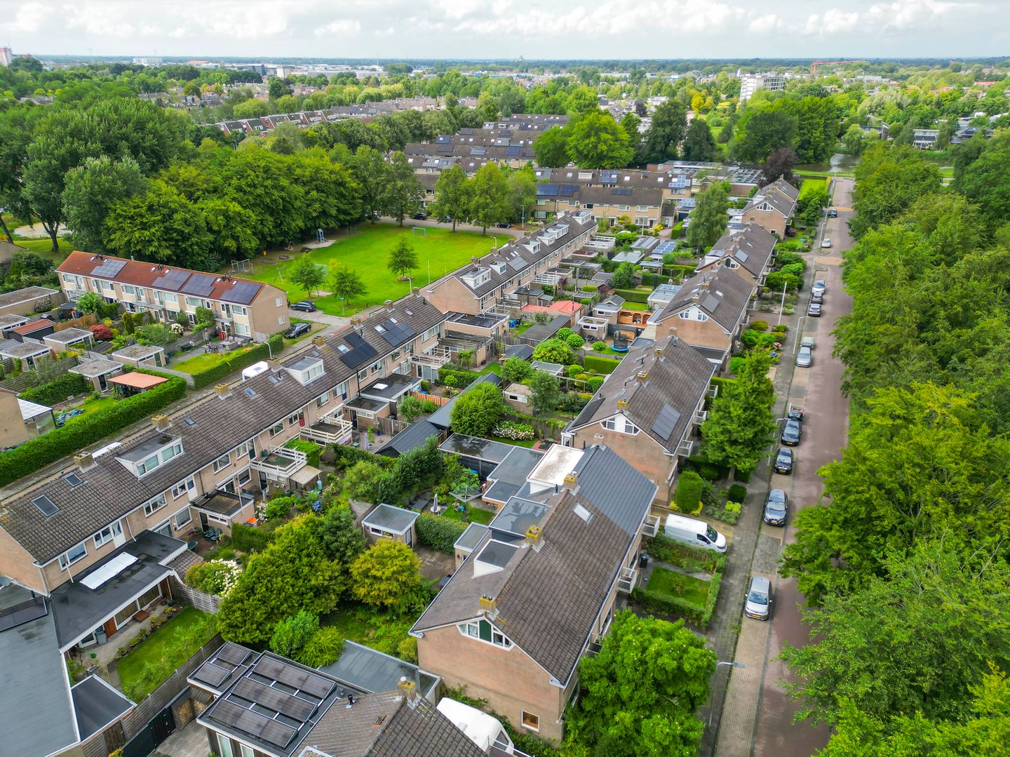 Foto 50 van De Hoge Bomen 34