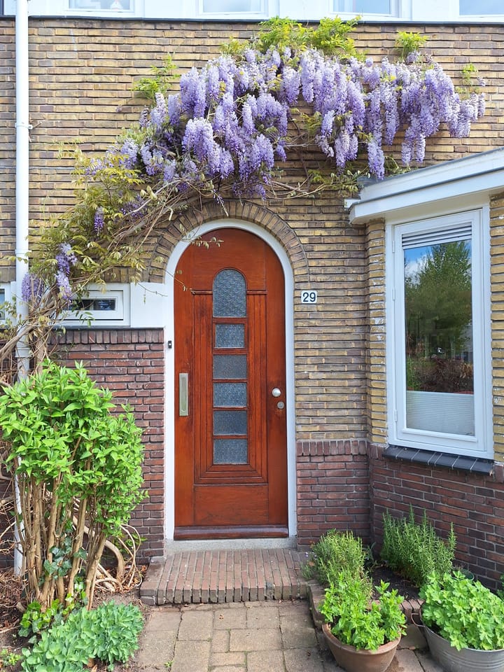 Foto 4 van Tesselschadestraat 29