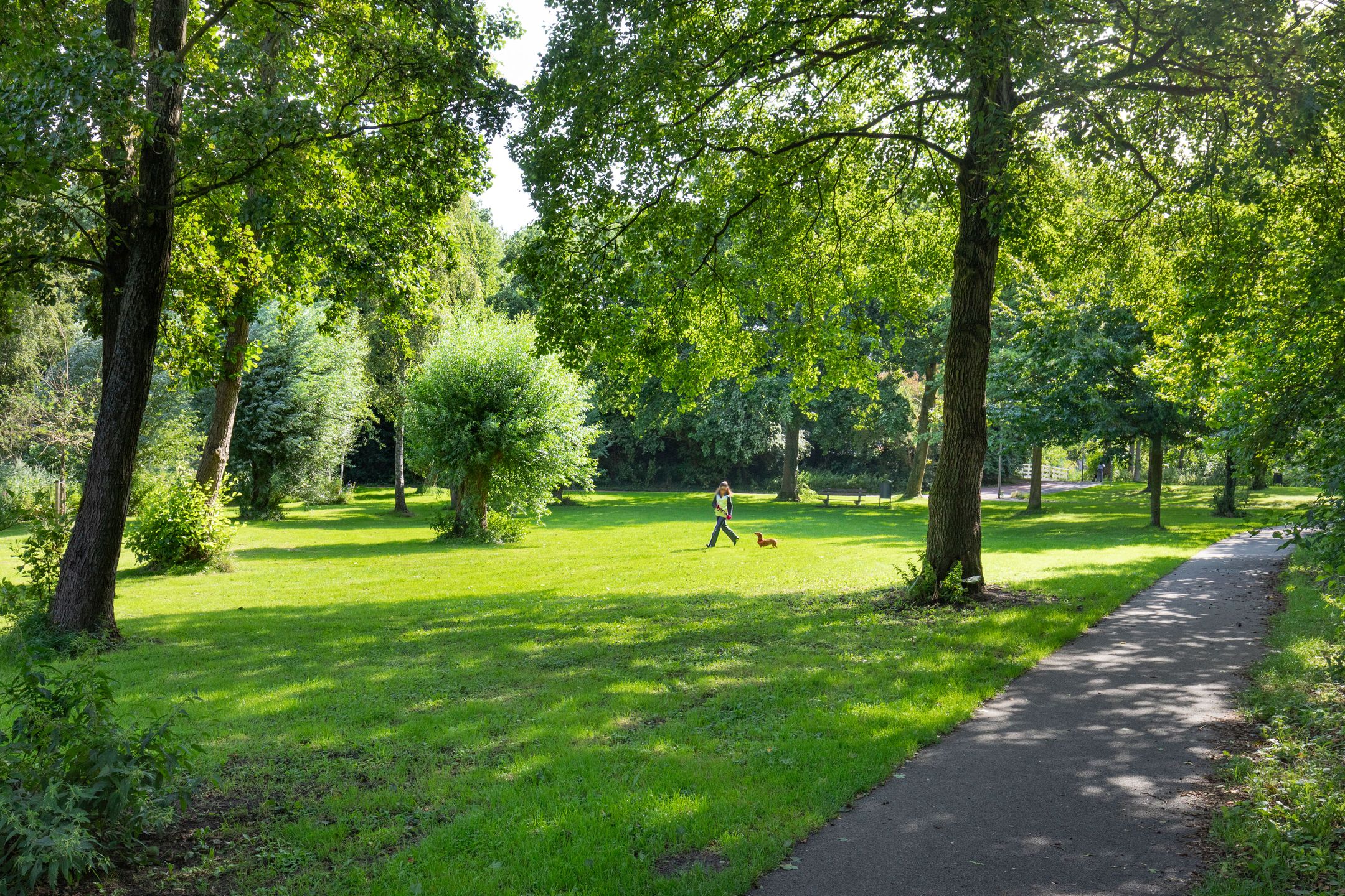 Photo 24 of Sandenburg 93