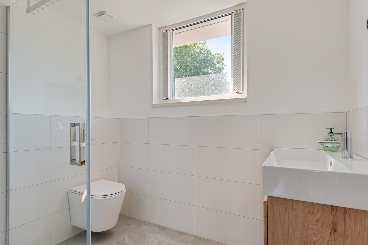 Photo 40 of Dupuislaan 21